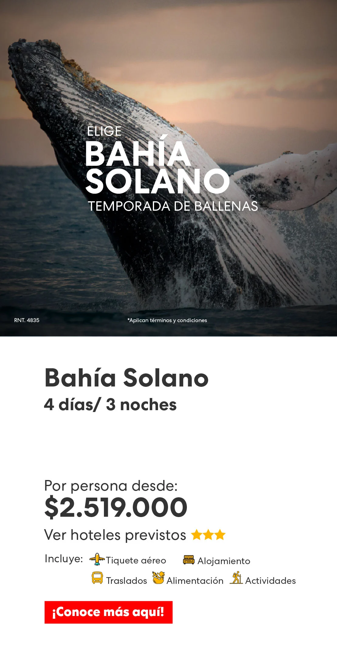 Bahía Solano avistamiento de ballenas